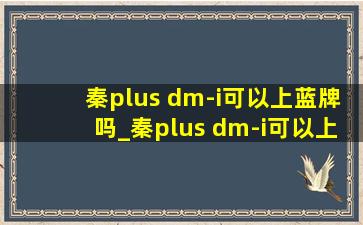 秦plus dm-i可以上蓝牌吗_秦plus dm-i可以上上海绿牌吗